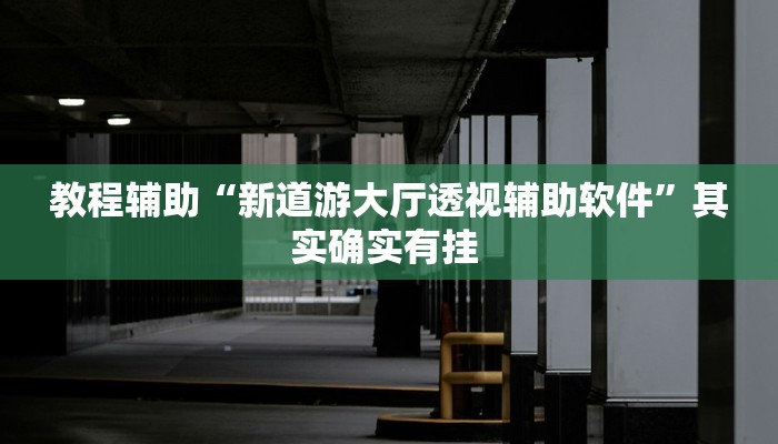 教程辅助“新道游大厅透视辅助软件”其实确实有挂 教程辅助“新道游大厅透视辅助软件”其实确实有挂
