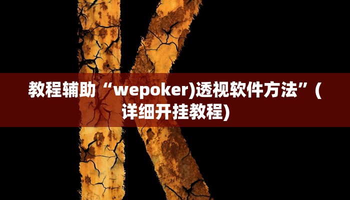 教程辅助“wepoker)透视软件方法”(详细开挂教程)