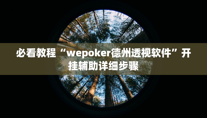 必看教程“wepoker德州透视软件”开挂辅助详细步骤