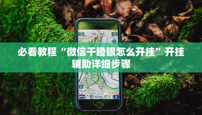 辅助神器“闽南漳州麻将可以开挂吗”分享用挂教程