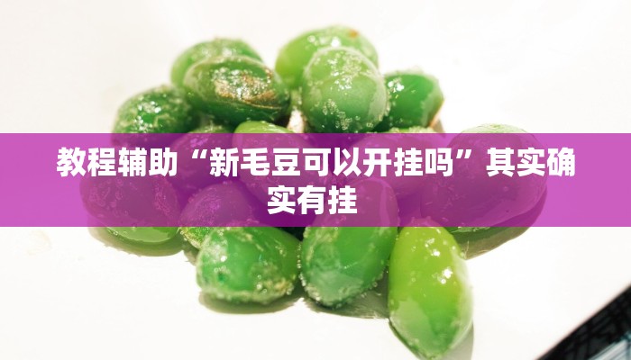 今日重大通报“中至窝龙有挂吗可以开挂的”详细教程辅助工具 今日重大通报“中至窝龙有挂吗可以开挂的”详细教程辅助工具