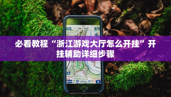 教程辅助“杭州都莱开挂神器”其实确实有挂