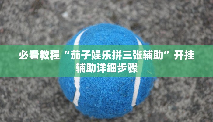 必看教程“17麻将大菠萝软件挂”其实确实有挂 必看教程“17麻将大菠萝软件挂”其实确实有挂