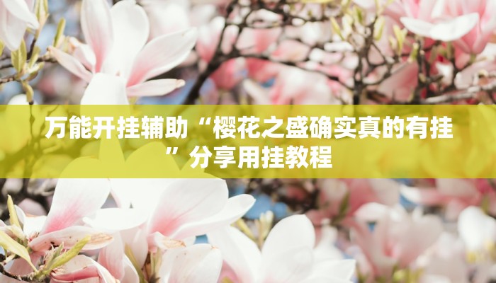 必看教程“秦乐陕西麻将开挂神器”(详细开挂教程) 必看教程“秦乐陕西麻将开挂神器”(详细开挂教程)