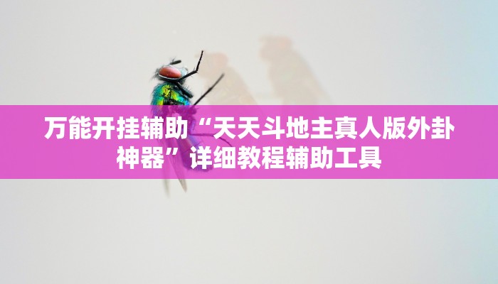 万能开挂辅助“天天斗地主真人版外卦神器”详细教程辅助工具