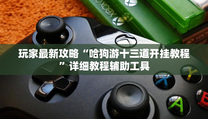 玩家最新攻略“众乐贵州到底有没有挂”详细教程辅助工具 玩家最新攻略“众乐贵州到底有没有挂”详细教程辅助工具