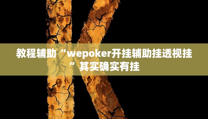 教程辅助“wepoker开挂辅助挂透视挂”其实确实有挂