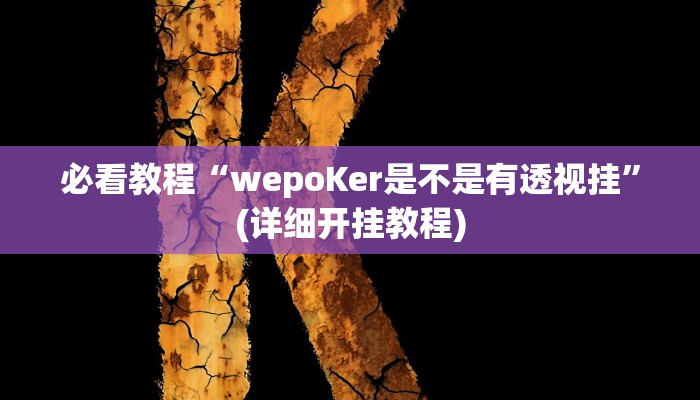 玩家最新攻略“wepoker辅助透视软件”开挂辅助详细步骤