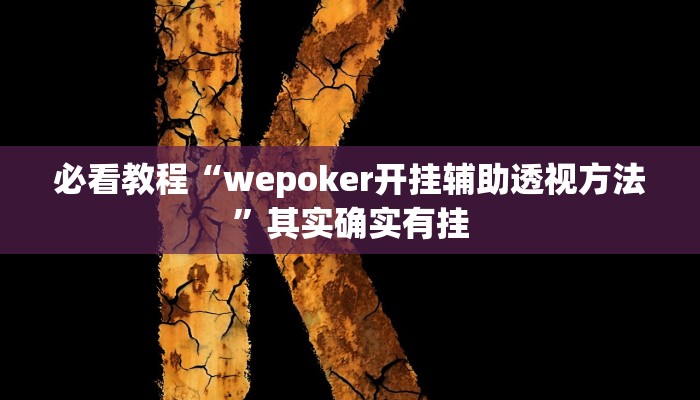 必看教程“wepoker开挂辅助透视方法”其实确实有挂